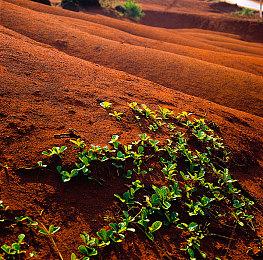 《狂想乐园》新预告公布 2023年年内发售